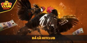 Đá gà Hitclub